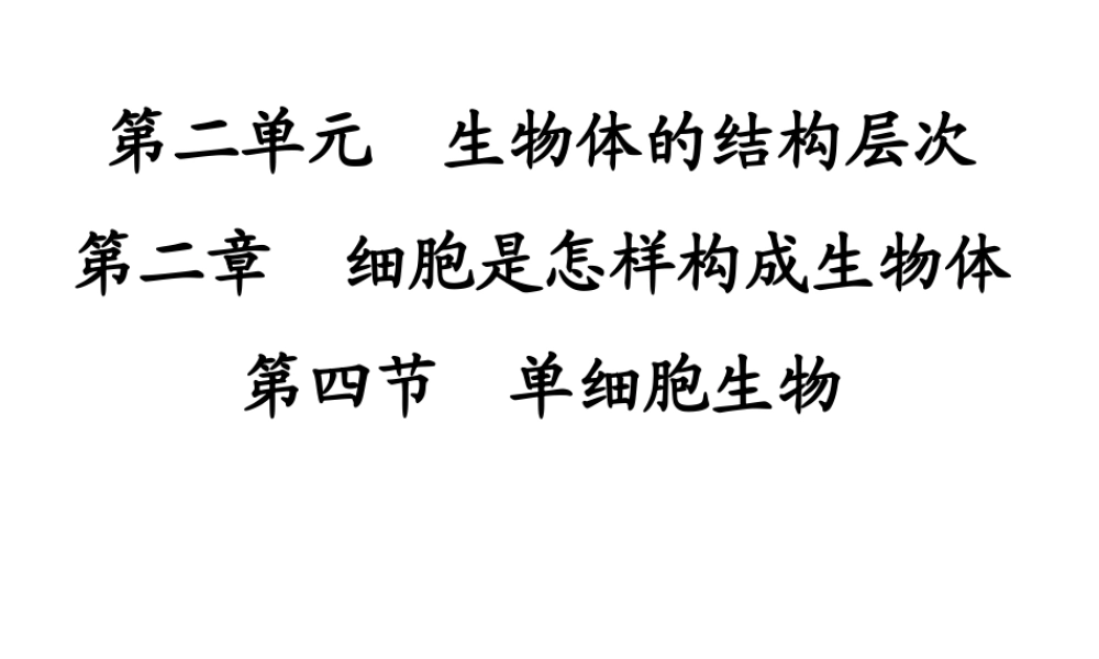2014秋七年级生物上册 第二单元 第二章 第四节 单细胞生物（第3课时）课件 （新版）新人教版