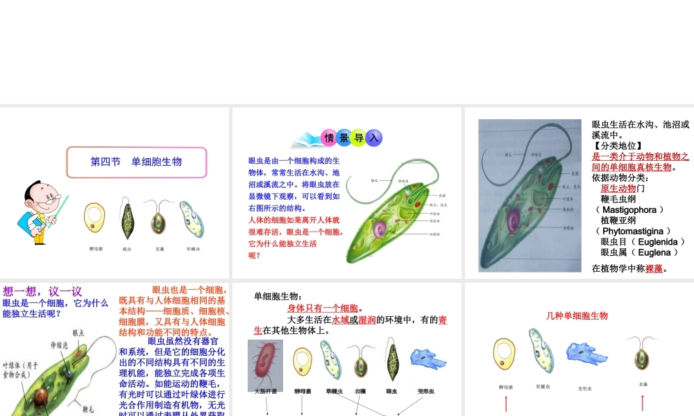 2014秋七年级生物上册 第二单元 第二章 第四节 单细胞生物（第3课时）课件 （新版）新人教版