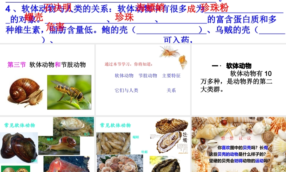 2014年秋八年级生物上册 第五单元 第一章 第一章 第三节 软体动物和节肢动物课件 （新版）新人教版