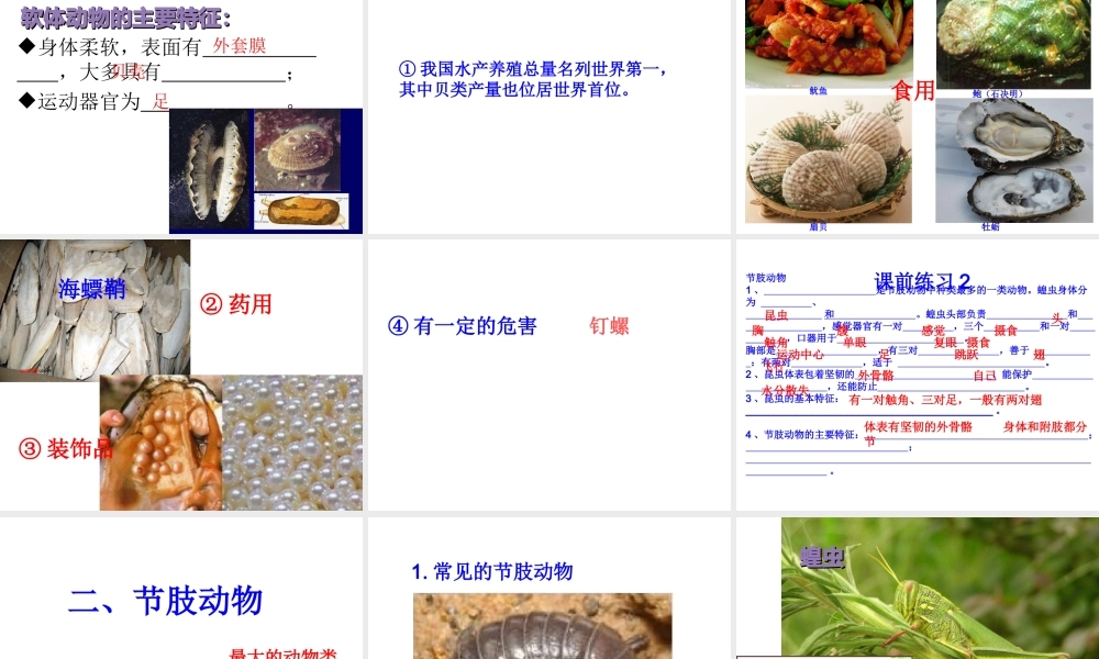 2014年秋八年级生物上册 第五单元 第一章 第一章 第三节 软体动物和节肢动物课件 （新版）新人教版