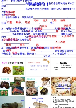 2014年秋八年级生物上册 第五单元 第一章 第一章 第三节 软体动物和节肢动物课件 （新版）新人教版