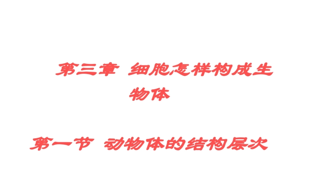 2014秋七年级生物上册 第二单元 第三章 第一节 动物体的结构层次（第1课时）课件 新人教版
