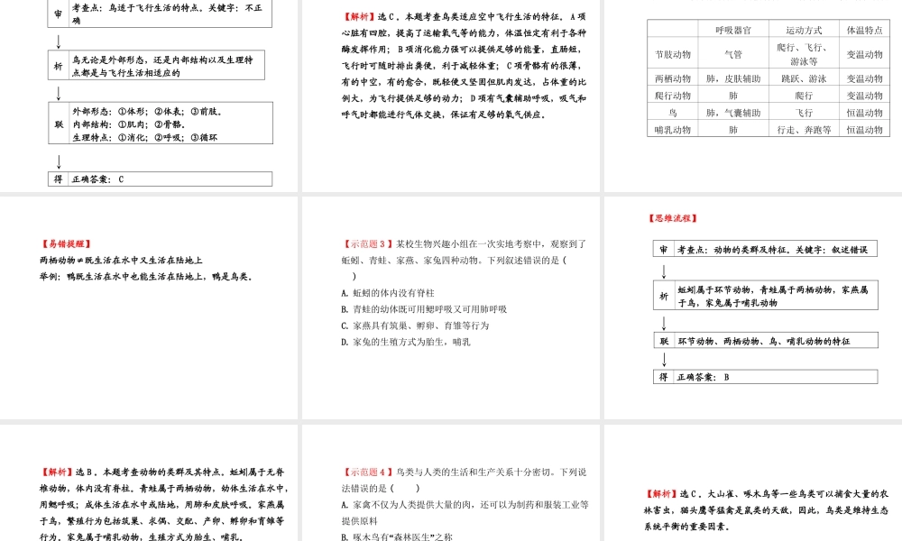 2014年秋八年级生物上册 第五单元 第一章 阶段复习课件 （新版）新人教版