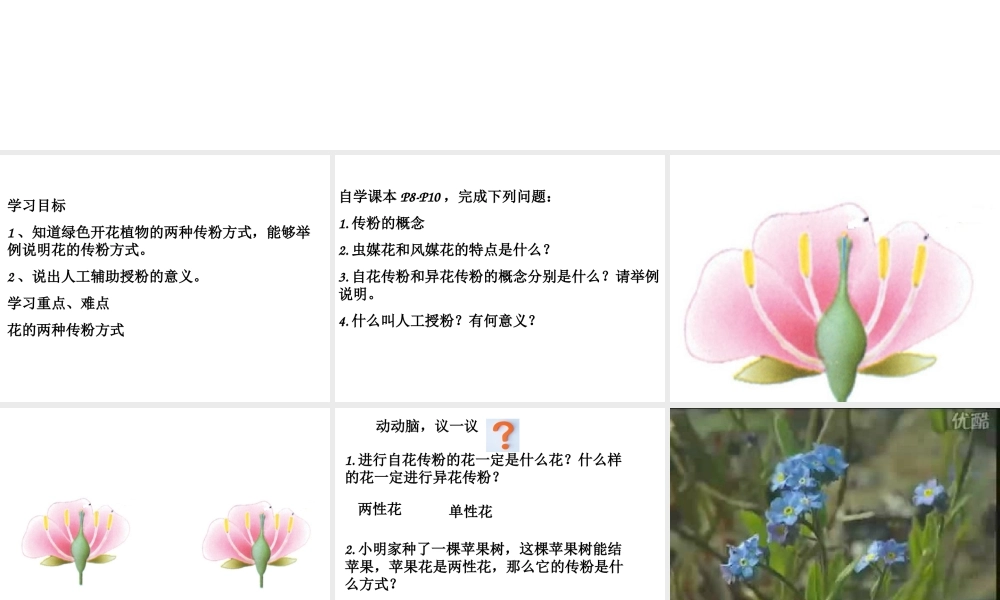 2014年秋八年级生物上册 第一章 第二节 传粉与受精课件 济南版