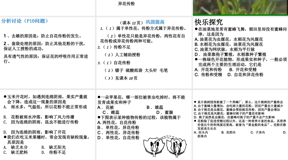 2014年秋八年级生物上册 第一章 第二节 传粉与受精课件 济南版