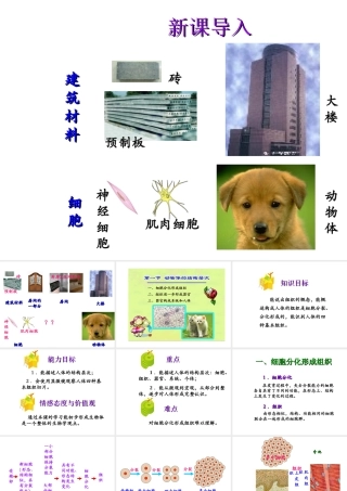 2014秋七年级生物上册 第二单元 第三章 第一节 动物体的结构层次（第2课时）课件 新人教版