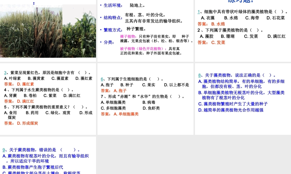 2014秋七年级生物上册 第二单元 第一章 第一节 绿色植物的主要类群课件1 济南版