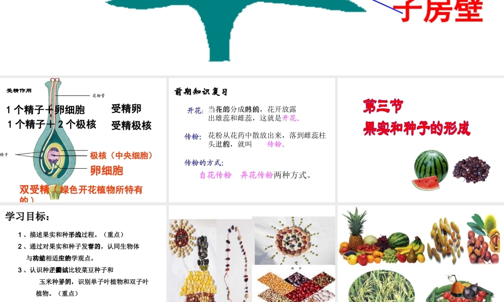 2014年秋八年级生物上册 第一章 第三节 果实和种子的形成课件 济南版