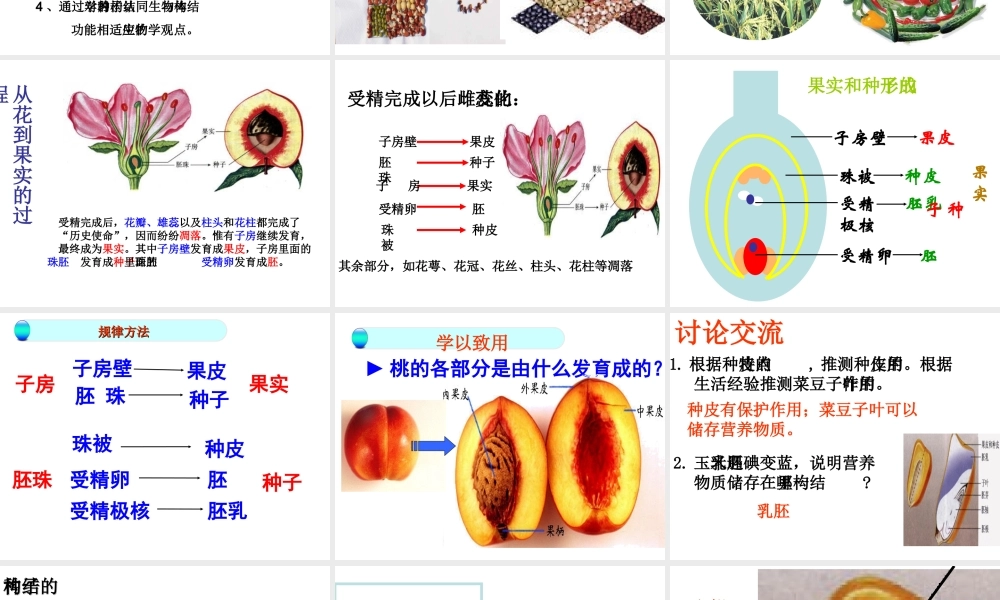 2014年秋八年级生物上册 第一章 第三节 果实和种子的形成课件 济南版