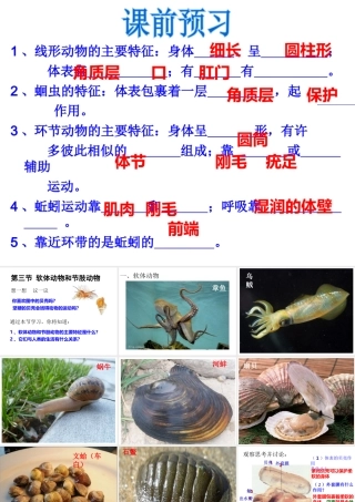 2014年秋八年级生物上册 第一章 第三节 软体动物和节肢动物课件 （新版）新人教版