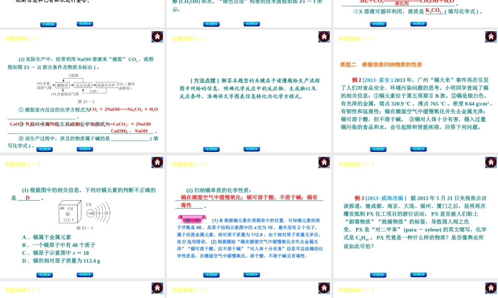 2014中考化学复习方案 主题六 专题突破课件 新人教版