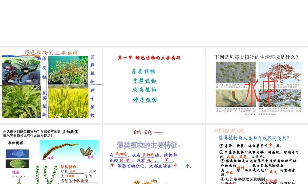 2014秋七年级生物上册 第二单元 第一章 第一节 绿色植物的主要类群课件2 济南版