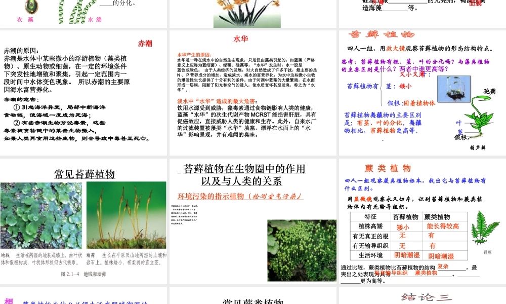 2014秋七年级生物上册 第二单元 第一章 第一节 绿色植物的主要类群课件2 济南版