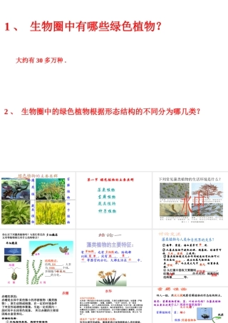 2014秋七年级生物上册 第二单元 第一章 第一节 绿色植物的主要类群课件2 济南版