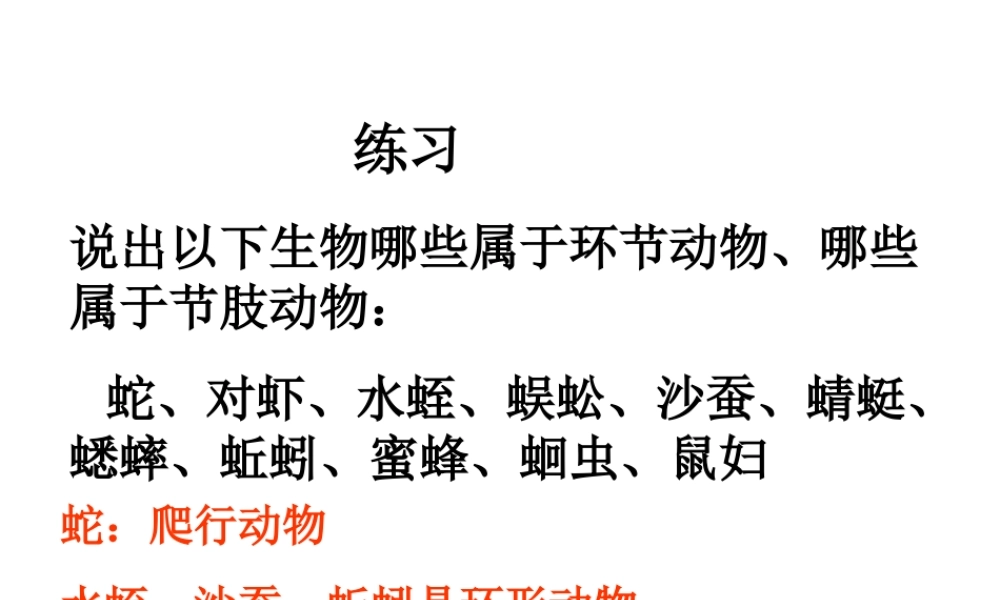 2014秋七年级生物上册 第二章 第二节 脊椎动物的主要类群（第1课时）课件 （新版）济南版