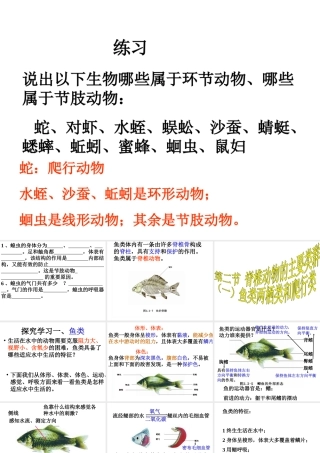 2014秋七年级生物上册 第二章 第二节 脊椎动物的主要类群（第1课时）课件 （新版）济南版