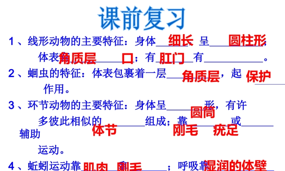 2014年秋八年级生物上册 第一章 第三节 软体动物与节肢动物课件 （新版）新人教版