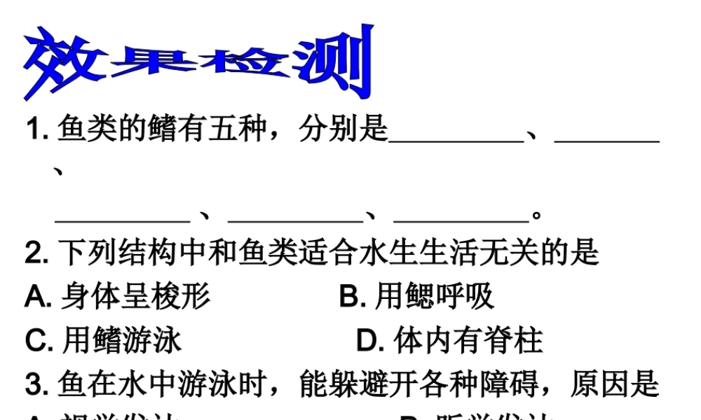 2014秋七年级生物上册 第二章 第二节 脊椎动物的主要类群（第2课时）课件 （新版）济南版