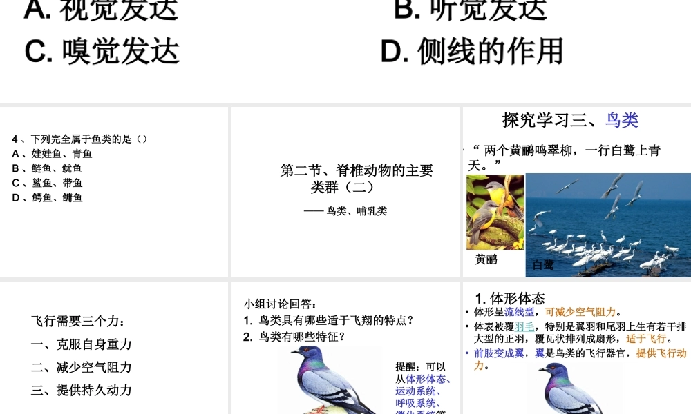 2014秋七年级生物上册 第二章 第二节 脊椎动物的主要类群（第2课时）课件 （新版）济南版