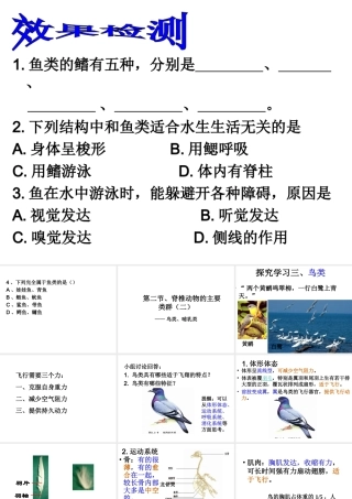 2014秋七年级生物上册 第二章 第二节 脊椎动物的主要类群（第2课时）课件 （新版）济南版