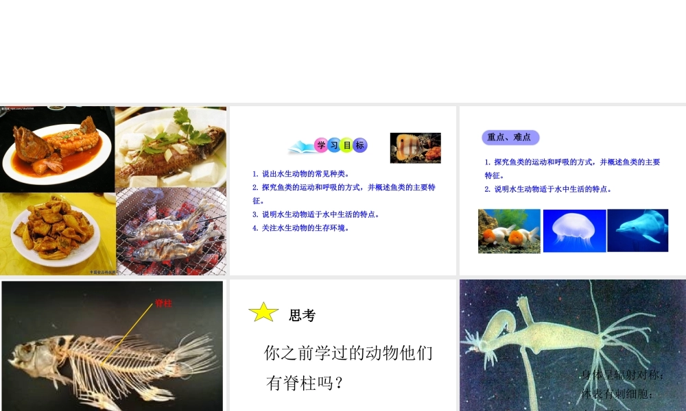 2014年秋八年级生物上册 第一章 第四节 鱼课件 （新版）新人教版