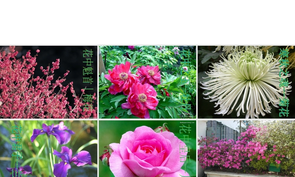 2014秋七年级生物上册 第二章 第三节 开花和结果课件 新人教版