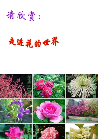 2014秋七年级生物上册 第二章 第三节 开花和结果课件 新人教版