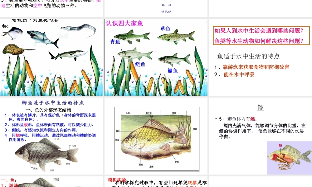 2014年秋八年级生物上册 第一章 第一节 水中生活的动物课件 新人教版