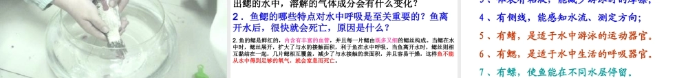 2014年秋八年级生物上册 第一章 第一节 水中生活的动物课件 新人教版