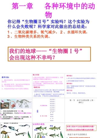 2014年秋八年级生物上册 第一章 第一节 水中生活的动物课件 新人教版