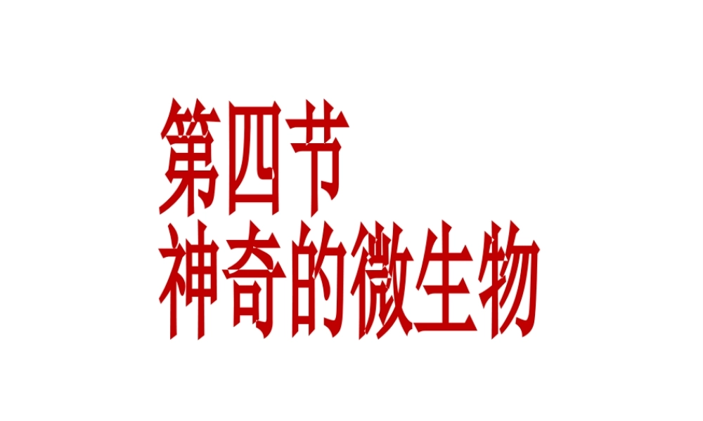 2014年秋八年级生物上册 神奇的微生物----细菌课件 （新版）苏教版