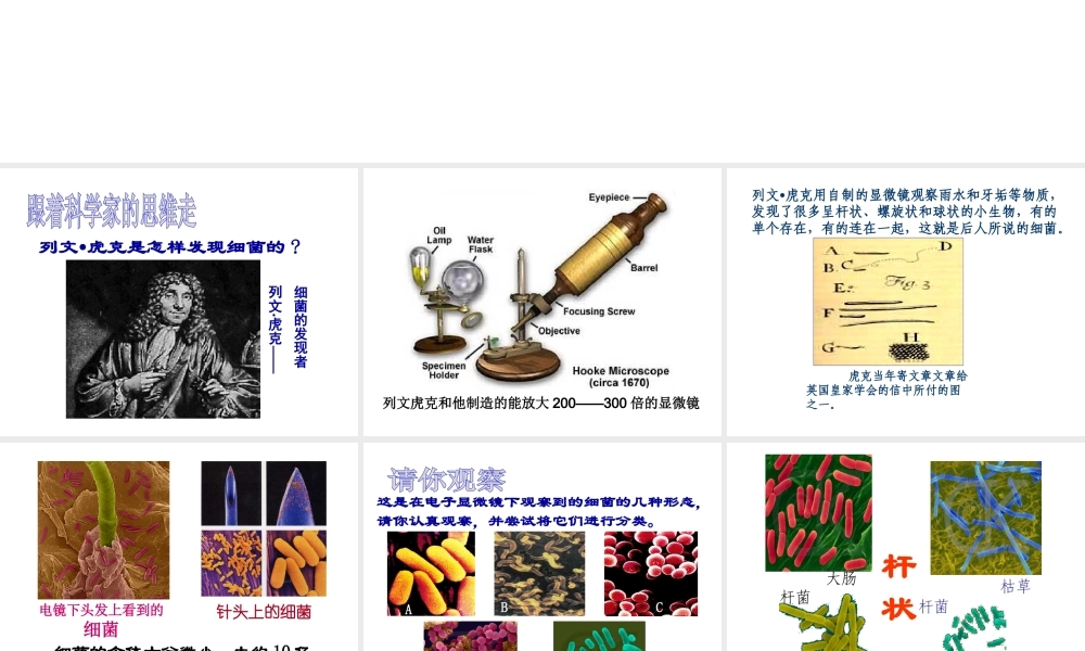 2014年秋八年级生物上册 神奇的微生物----细菌课件 （新版）苏教版