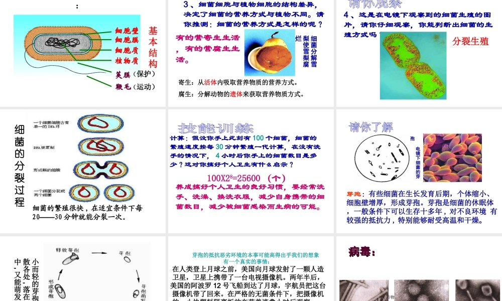 2014年秋八年级生物上册 神奇的微生物----细菌课件 （新版）苏教版