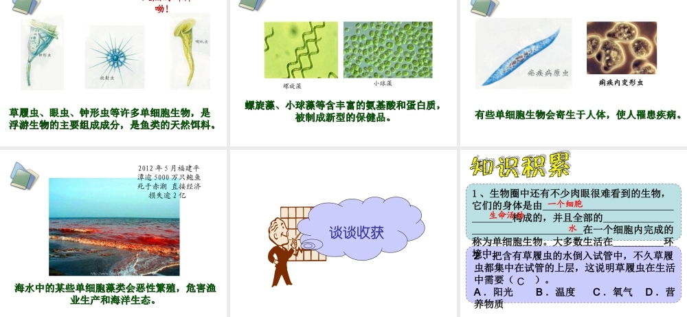 2014秋七年级生物上册 第二章 第四节 单细胞生物体课件 新人教版