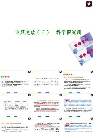 2014中考化学复习方案 专题突破三 科学探究题（专题分析+归类示例，含2013中考真题）权威课件