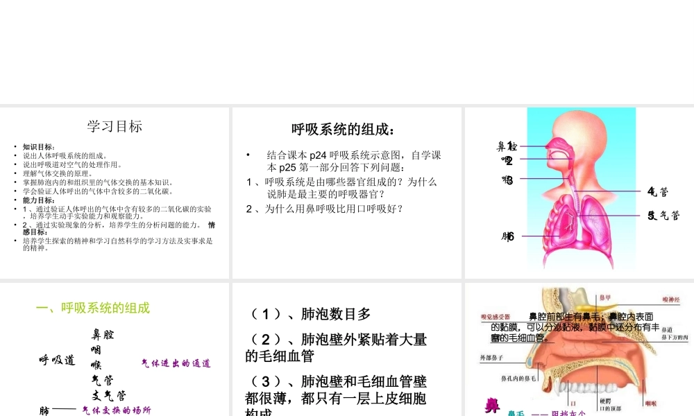 2014秋七年级生物上册 第二章 第一节 人体与外界的气体交换（第1课时）课件 （新版）济南版