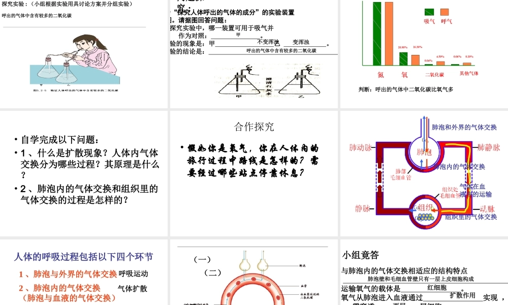 2014秋七年级生物上册 第二章 第一节 人体与外界的气体交换（第1课时）课件 （新版）济南版