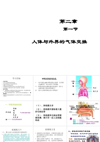 2014秋七年级生物上册 第二章 第一节 人体与外界的气体交换（第1课时）课件 （新版）济南版