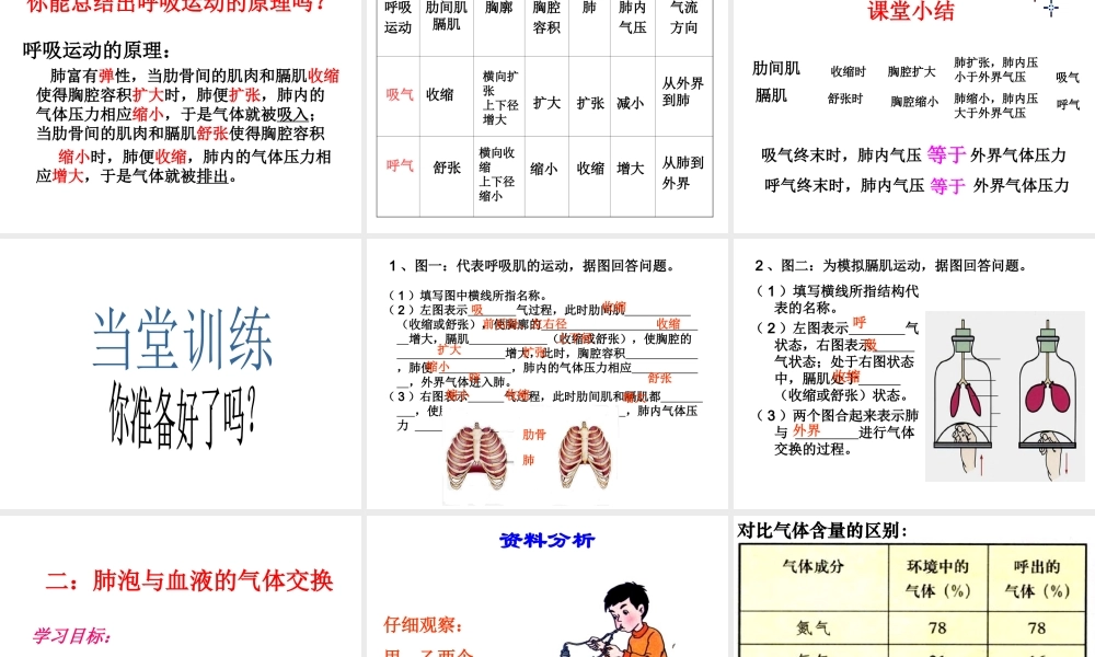 2014秋七年级生物上册 第二章 第一节 人体与外界的气体交换（第2课时）课件 （新版）济南版