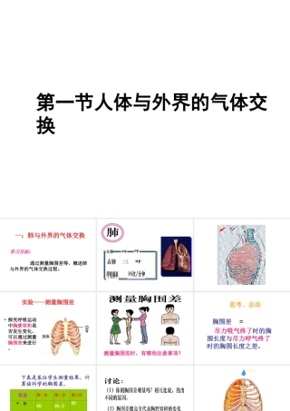2014秋七年级生物上册 第二章 第一节 人体与外界的气体交换（第2课时）课件 （新版）济南版