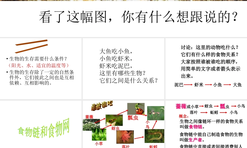 2014年秋八年级生物下册 第六单元 第二节 食物链和食物网课件 济南版