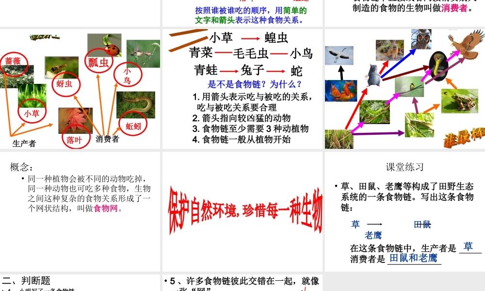 2014年秋八年级生物下册 第六单元 第二节 食物链和食物网课件 济南版