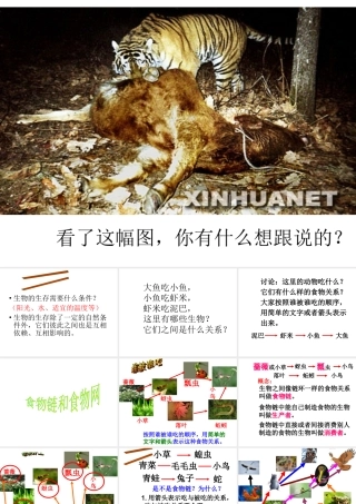 2014年秋八年级生物下册 第六单元 第二节 食物链和食物网课件 济南版