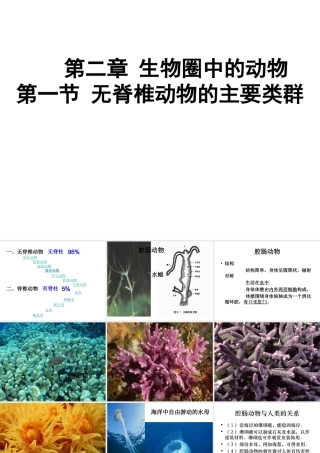 2014秋七年级生物上册 第二章 第一节 无脊椎动物的主要类群（第3课时）课件 （新版）济南版
