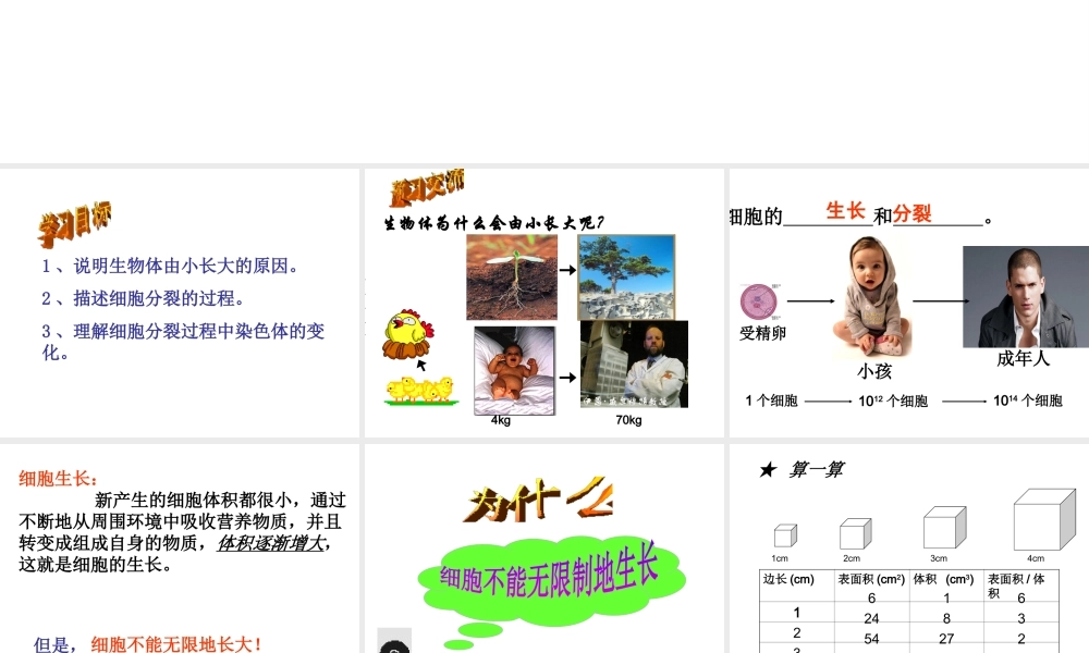 2014秋七年级生物上册 第二章 第一节 细胞通过分裂产生新细胞（第1课时）课件 （新版）新人教版