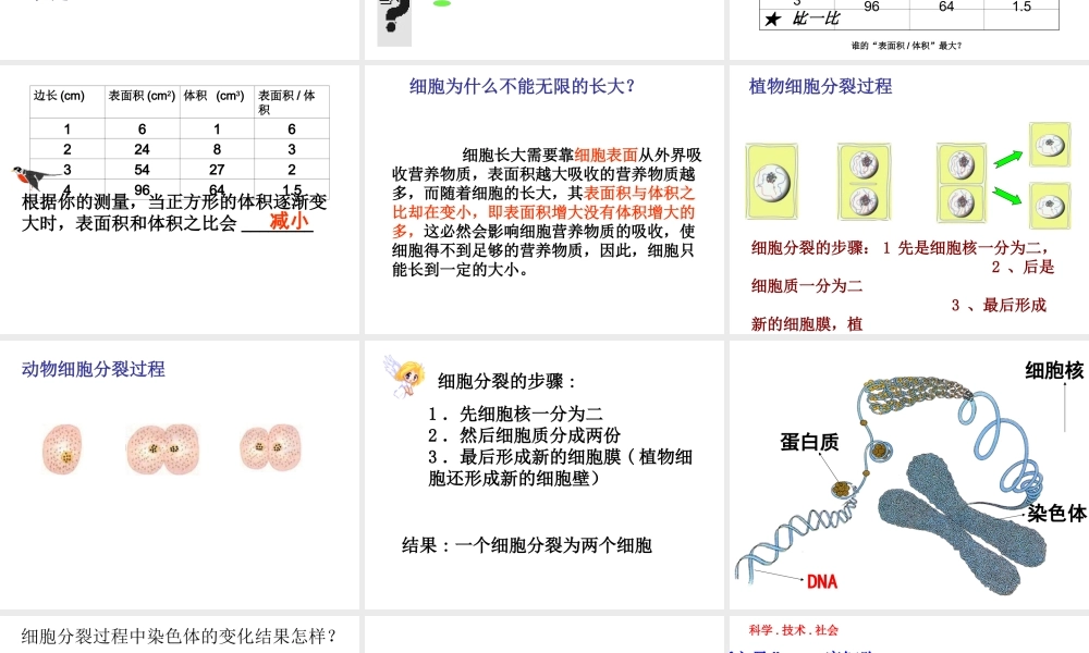 2014秋七年级生物上册 第二章 第一节 细胞通过分裂产生新细胞（第1课时）课件 （新版）新人教版