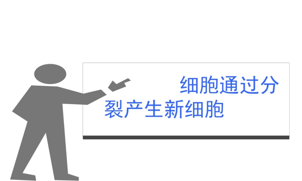 2014秋七年级生物上册 第二章 第一节 细胞通过分裂产生新细胞（第2课时）课件 （新版）新人教版