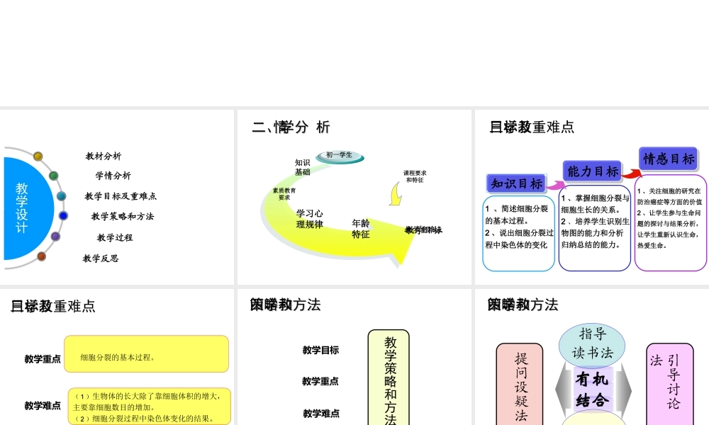 2014秋七年级生物上册 第二章 第一节 细胞通过分裂产生新细胞（第2课时）课件 （新版）新人教版