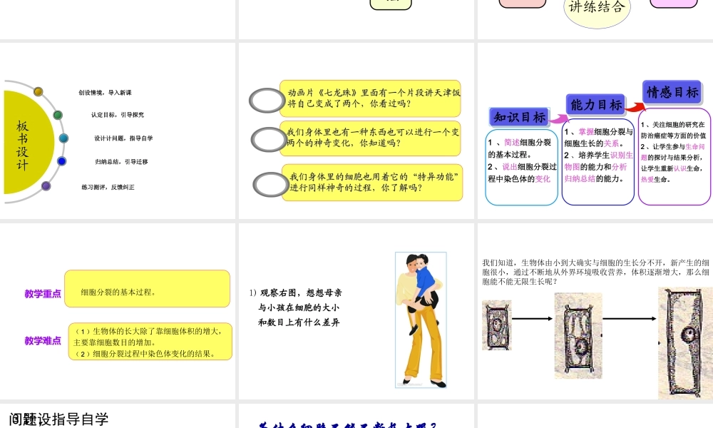 2014秋七年级生物上册 第二章 第一节 细胞通过分裂产生新细胞（第2课时）课件 （新版）新人教版