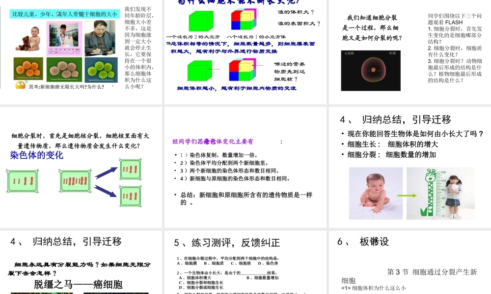 2014秋七年级生物上册 第二章 第一节 细胞通过分裂产生新细胞（第2课时）课件 （新版）新人教版